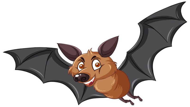 Understanding Clipart:h80clp349va= Bat