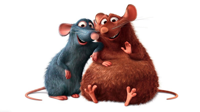 Remy:9niqbsndfxg= Ratatouille