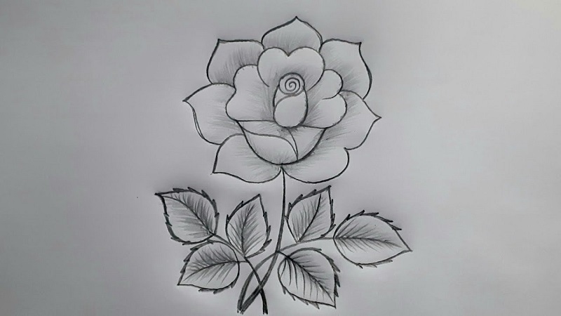 Easy:3vz4qc7cf5i= Flowers Drawing