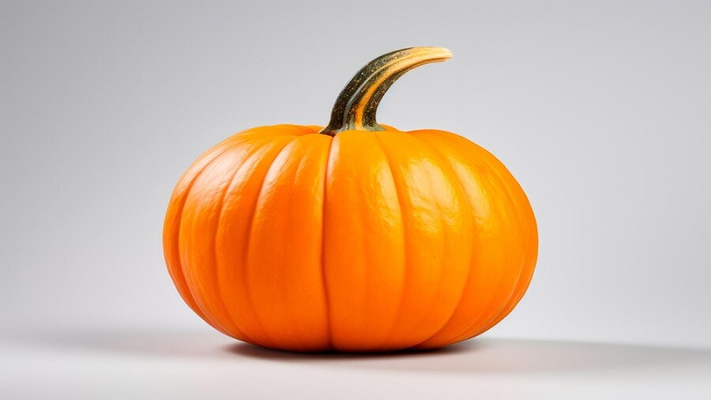 Clipart:ysi1xxlwjxk= Pumpkin Image