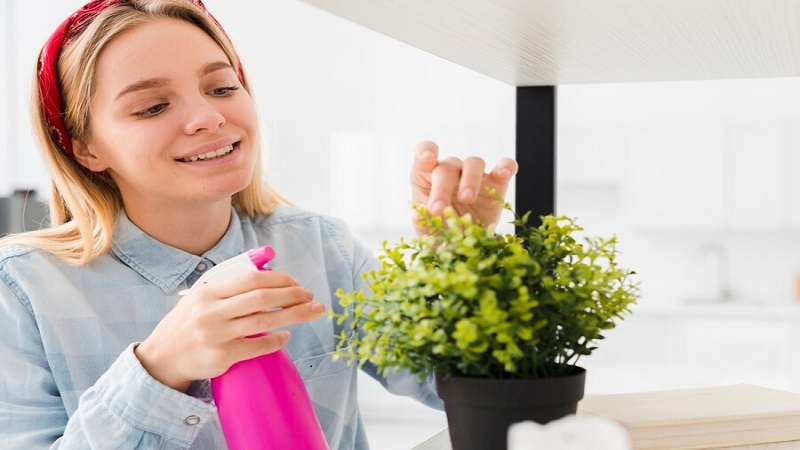 Embracing Eco-Friendly Cleaning for Health and Happiness